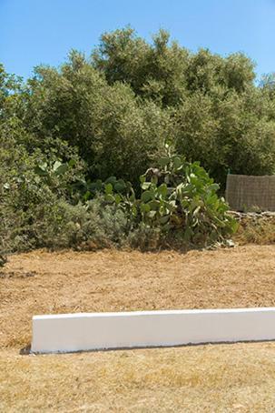 Ca Na Maria Teueta Daire San Ferrán de ses Roques Dış mekan fotoğraf