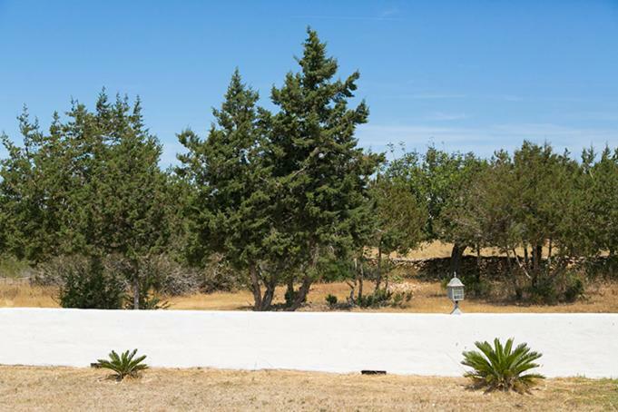 Ca Na Maria Teueta Daire San Ferrán de ses Roques Dış mekan fotoğraf